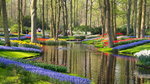 Keukenhof Tulips Park