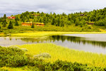 Landscape with houses water and trees