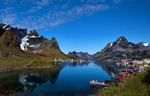 Reine