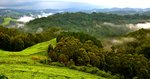 Nyungwe Rainforest