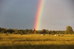 Regnbågen