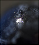 Slånbärsnebulosan