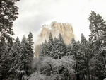 El Capitan Winter View