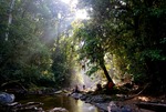 The heart of Borneo