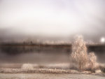 White and frosen tree make mirror at sea..