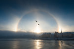 Stockholm Halo