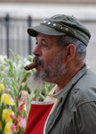 Blomsterhandlaren i Havanna