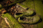 De alggröna skorna