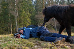 Fotografering i hästhagen