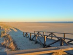 Rofylld strand på Algarve