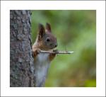 HEY,,,,SOMEBODY HOME?