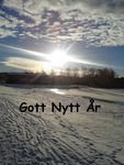 Gott Nytt &Aring;r