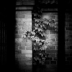 kopparlunden, västerås