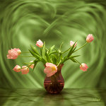 Rosa tulpaner i gröna rummet