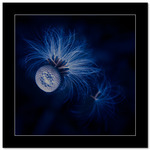 Mina praktdagar &auml;r &ouml;ver