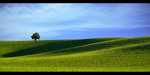 Rolling Hills II