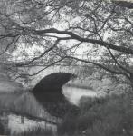 Bro i Mosås i Närke 1950
