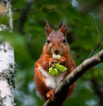 &Auml;ntligen &auml;r de h&auml;r