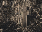 Cimetière de Montmartre 2008.