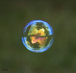 Nel mondo della bolla