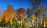 Autumn painting on water