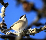 Tack f&ouml;r maten ...