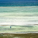 Strandfiske i lågvatten