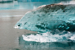 Ett naturens konstverk – Fiskhuvud i is