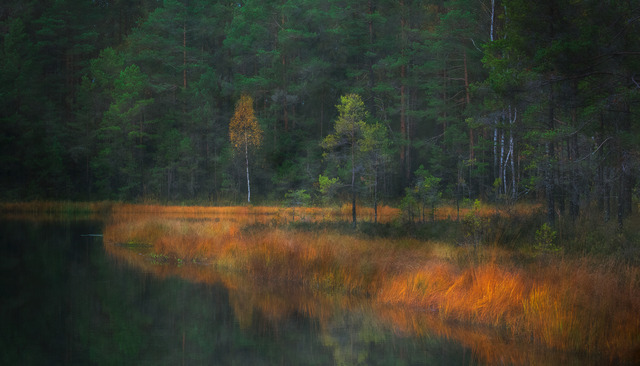 I naturens sk&ouml;te
