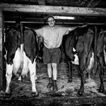 Mjölkbondens sista dag som mjölkbonde