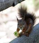 Det &auml;r min skrutt. Faktiskt!