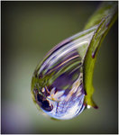 Den kolorerade droppen