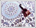 Maja på persiska mattan
