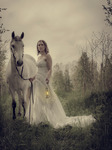 White  Horse