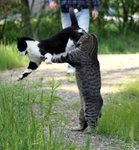 Nisse och Sixten leker, men det ser ut som Sixten lyfter honom