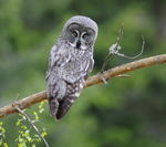 Lite n&auml;ra nu.......