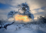 Januarieftermiddag på Halleberg