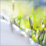 0 7 f e b r u a r i 2 0 1 5