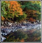 En spegling av h&ouml;st