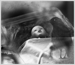 Time is a  bird like a dream that quickly desappears.