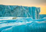 Isbjörn på isberg Svalbard sep 2015