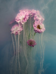 Submerged flowers