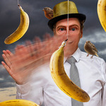 Debil man med bananer (Det absurdas revansch XVlll)