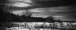 Monocrome Landscape