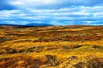 Jämtlandstriangeln i höstfärger