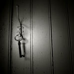 The Skeleton Key