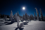 Snowscape under the moon
