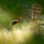 N&auml; nu bommar det!   :-)