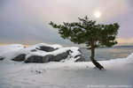 Vinter vid hav Gålö