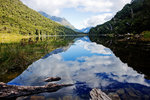 Milford Track 11